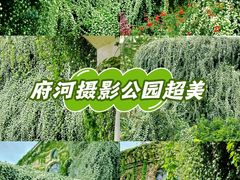 -府河摄影公园