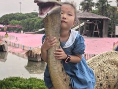 -苏州太湖西山岛开心农场