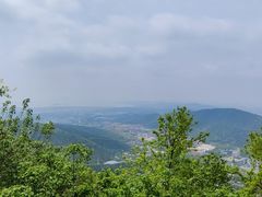 -惠山国家森林公园