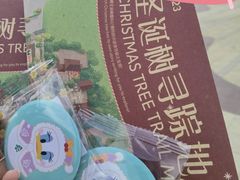 -迪士尼小镇