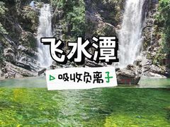 -鼎湖山风景区