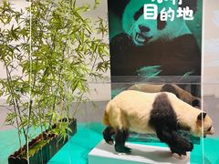 -中国湿地博物馆