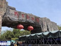 -合肥野生动物园
