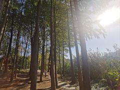-长广溪湿地公园