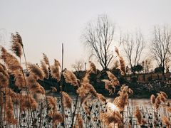 -莫子山公园