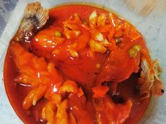 -新吉士·上海菜(浦东LCM置汇旭辉店)