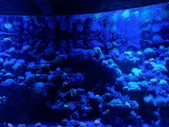 -太平洋海底世界