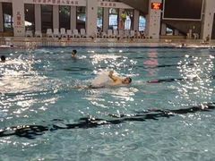 -野马渡文体中心游泳·健身