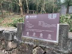 -都江堰中华大熊猫苑