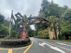 -矮寨·十八洞·德夯大峡谷景区