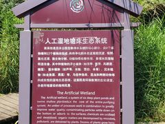 -成都市活水公园