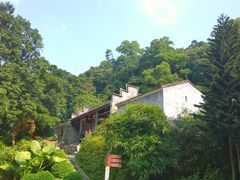 -广州市帽峰山景区