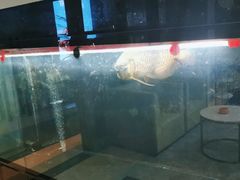 -翟韵茶咖棋牌