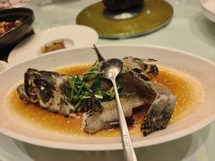 -皇朝尊会(龙之梦大酒店)