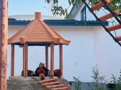 -杭州野生动物世界