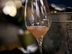 -Wine Universe 宇宙酒馆