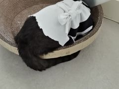 -美联众合动物医院·24h京西诊疗中心