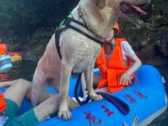 -安吉龙王山峡谷漂流