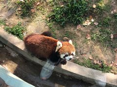 -无锡动物园·太湖欢乐园