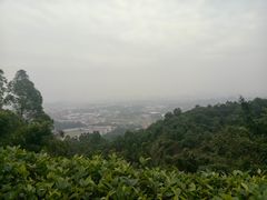 -火炉山森林公园