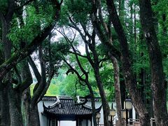 -上海醉白池公园