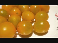 -潇湘码头·鲜湘菜(常营店)