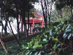 景点-大渡口区义渡公园