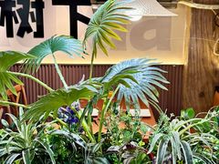 -树下时尚餐厅(翠园街店)