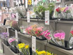 -鹿岛会员店(熙地港店)