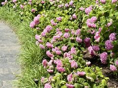 -常州古运河南大街文化旅游区-人民公园