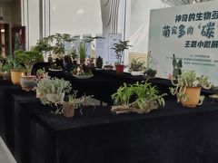 -中国杭州低碳科技馆