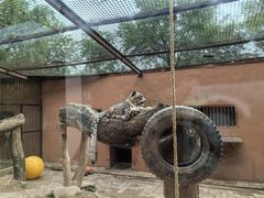 -青藏高原野生动物园