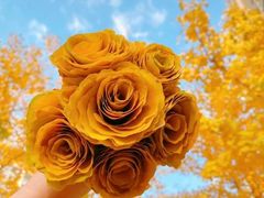 -莞府家宴·东莞菜(市民服务中心店)