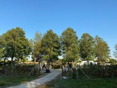 -安德鲁户外烧烤帐篷营地(马泉营店)