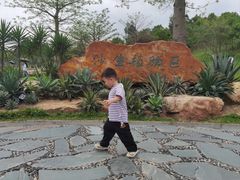 -东莞植物园