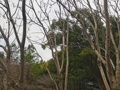 -苏州环秀晓筑养生度假村