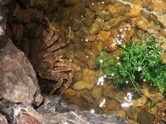 -綱元·海鲜豆捞(明州里店)