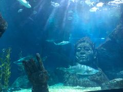 -暹罗海洋世界