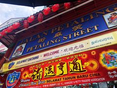 -罗汉果龙眼冰糖燉冬瓜