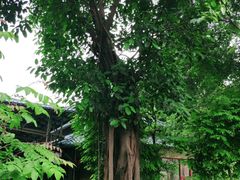 -横沥牛庄(总店)