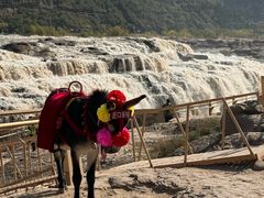 -陕西黄河壶口瀑布旅游区