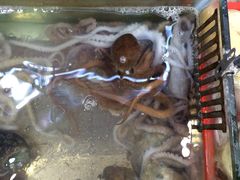 林记象山海鲜-林记象山海鲜(广灵二路店)