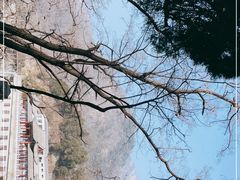 -泰山风景名胜区