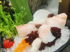 深海鳕鱼鱼胶-湊湊火锅·茶憩(打浦桥日月光店)