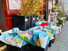 -溪岸路花鸟市场
