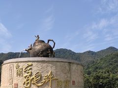 -听风阁农家私房菜茶楼(龙坞店)