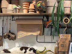 -自由生长植物工作室(深港花卉中心店)