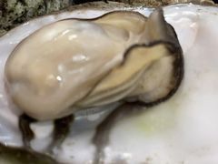 -蚝哥花姐湛江烤生蚝(美丽湾市场店)