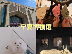 -宁夏博物馆