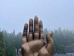 -龙口南山旅游景区